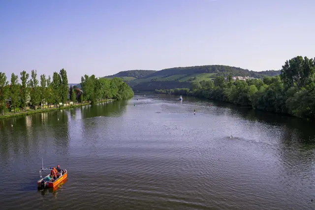 Würzburg Triathlon 2022, Foto 206 von 226