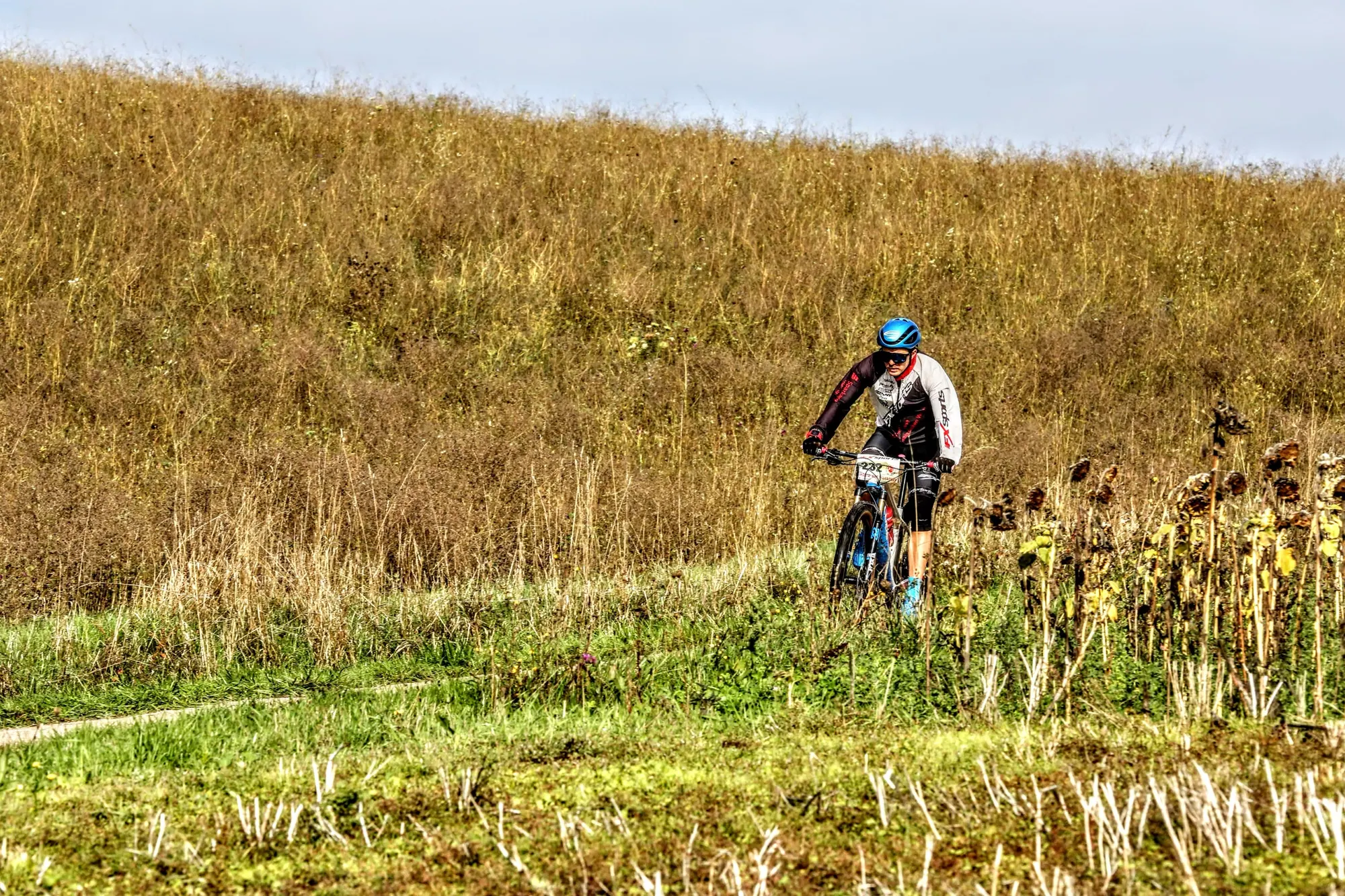 Mountainbiker auf einem Wiesenweg bergauf